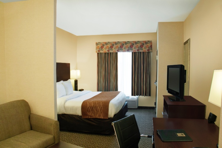 Comfort Suites Syracuse Cicero - 