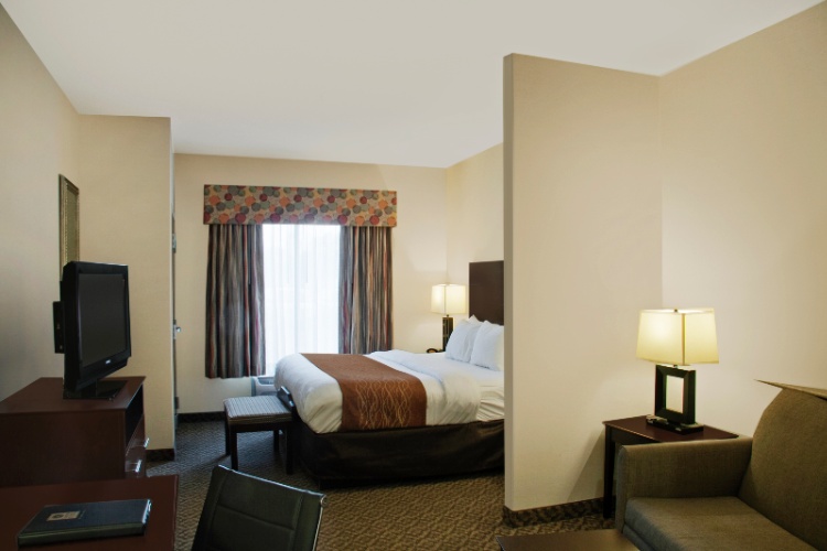 Comfort Suites Syracuse Cicero - 