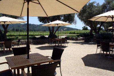 Silver Rose Inn & Spa - Olive Grove Venue For Events