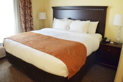 Comfort Suites Southington - 