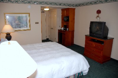 Hilton Garden Inn Allentown Airport - Deluxe King