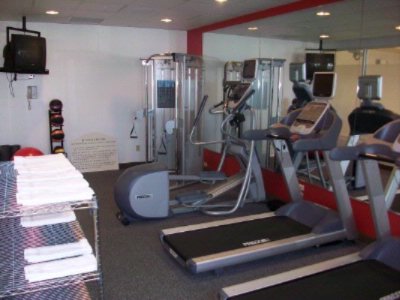 Hilton Garden Inn Allentown Airport - Indoor Pool