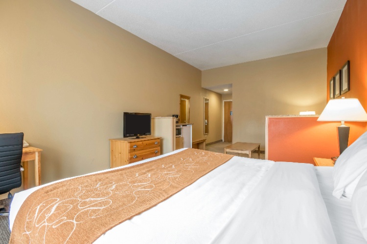 Comfort Suites - 