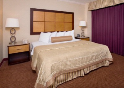 Embassy Suites Dallas Love Field - King Bed