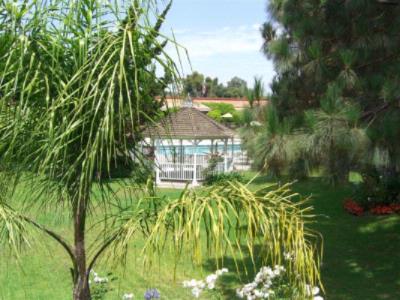 Palm Garden Hotel - 