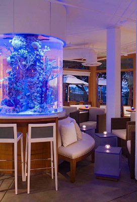 Hyatt Regency Mission Bay Spa & Marina - Swim Lounge