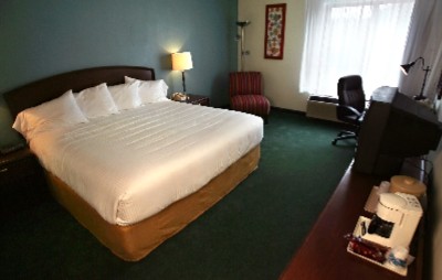 Park Inn Gateway Conference Center - Guest Room With One King Bed