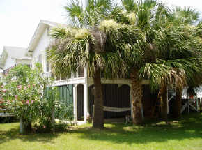 My Beach House/South Beach/Tybee