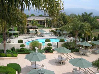 Best Western South Coast Inn - 