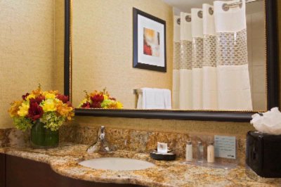 Hampton Inn 35th Street / Empire State Building - Bathroom