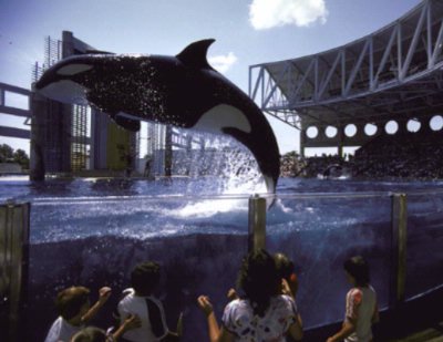 Heritage Inn San Diego / Sea World - 