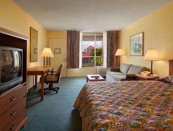 Ramada Orlando / Kissimmee - Standard Non Smoking King Size Room