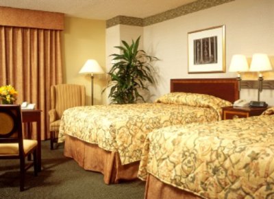 Country Inn & Suites San Diego North - Deluxe Double-queen