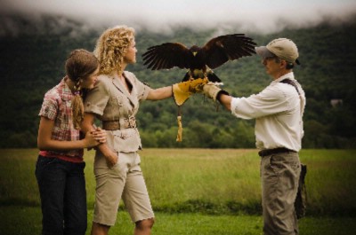 The Equinox Resort & Spa - British School Of Falconry