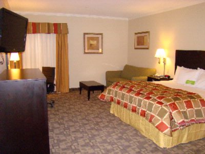 La Quinta Inn & Suites Garland Harbor Point - King Bed With Sleeper Sofa Microwave Refrigerator 37