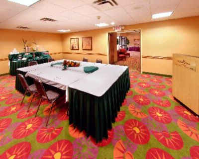 Holiday Inn Hotel & Suites - 