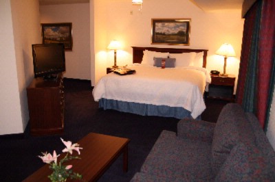 Hampton Inn & Suites Denver Tech Center - King Studio Suite W/pull Out Sofa Bed