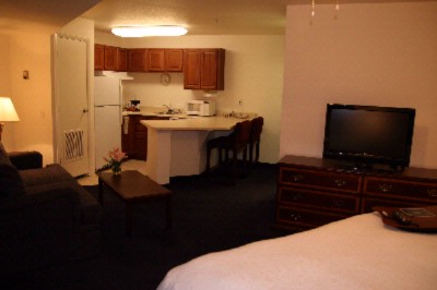 Hampton Inn & Suites Denver Tech Center - King Studio Suite W/pull Out Sofa Bed
