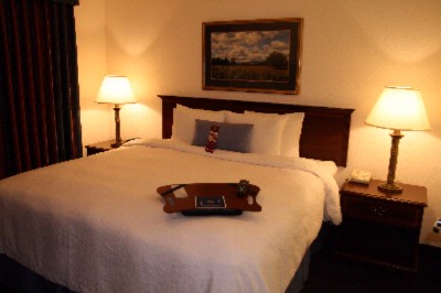 Hampton Inn & Suites Denver Tech Center - King Hotel Room
