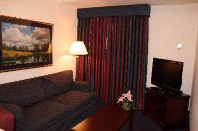 Hampton Inn & Suites Denver Tech Center - King Standard Suite Living Area W/pull Out Sofa Bed