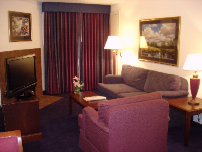 Hampton Inn & Suites Denver Tech Center - King Deluxe Suite Living Area W/pull Out Sofa Bed