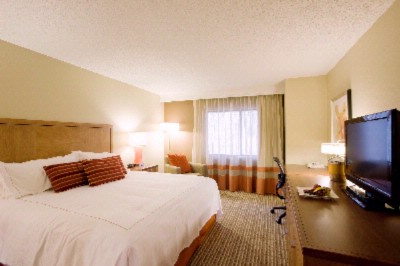 Dolce Atlanta Peachtree - Guestroom