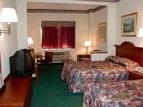 Comfort Suites Summerville - Hotel Room