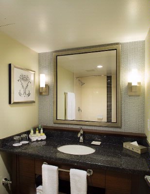 Delta Burnaby Hotel & Conference Centre - Guest Room Washroom