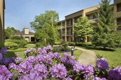 Courtyard by Marriott Red Bank - View Of Our Courtyard