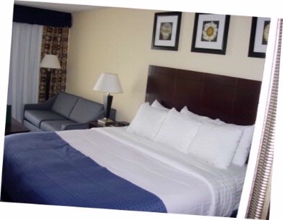 Holiday Inn Grand Island Resort & Conference Cente - Newly Renovated Rooms