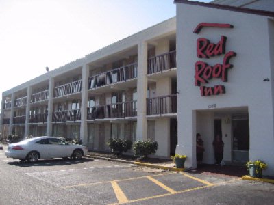 Red Roof Inn - 