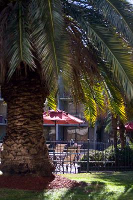 Crowne Plaza Houston Northwest - Resort Style Tropical Pool Area