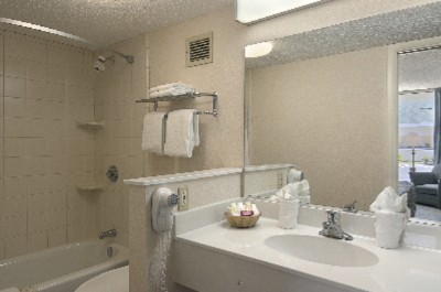 Ramada Speedway - Newly Renovated Bathroom