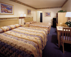 Standard 2 Queen Beds