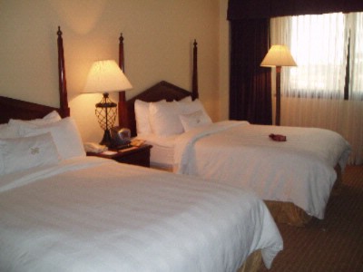 Crowne Plaza Miami - Double/ Double Bed