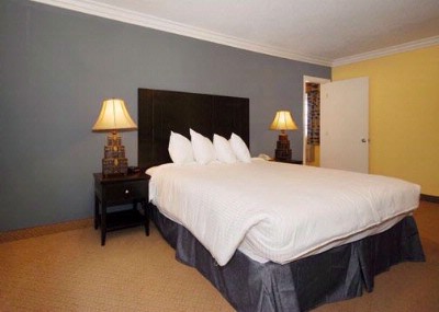 Rodeway Inn - King- Guest Room