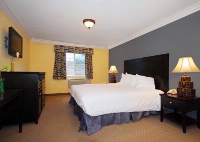 Rodeway Inn - King - Guest Room
