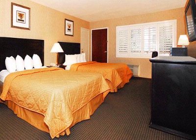 Comfort Inn Los Angeles City Center - Guest Room