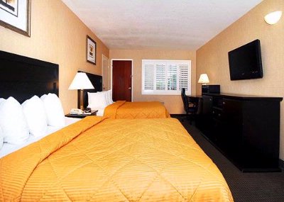 Comfort Inn Los Angeles City Center - Guest Room