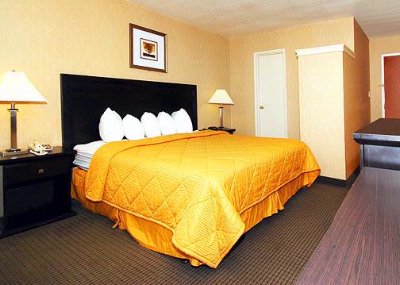 Comfort Inn Los Angeles City Center - Guest Room