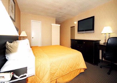 Comfort Inn Los Angeles City Center - Guest Room