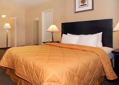 Comfort Inn Los Angeles City Center - Guest Room