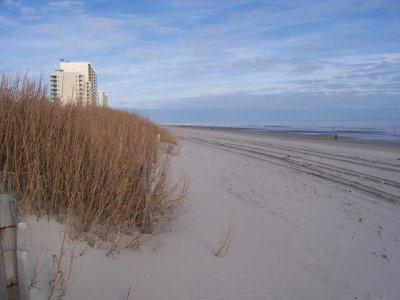 The Ocean Surf Club - The Beach