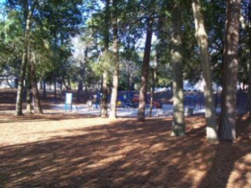 The Ocean Surf Club - Mclean Park Playground 2