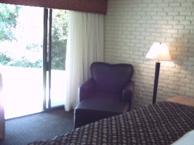 Best Western Pine Tree - 