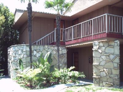 Best Western Pine Tree - 