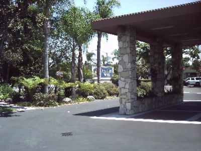 Best Western Pine Tree - 