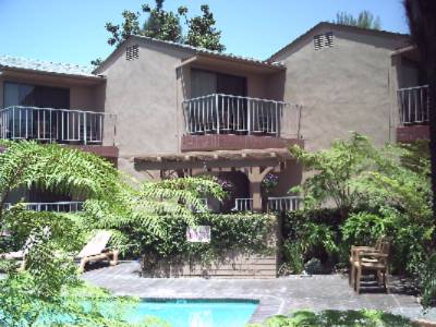 Best Western Pine Tree - 