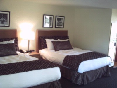 Best Western Pine Tree - 