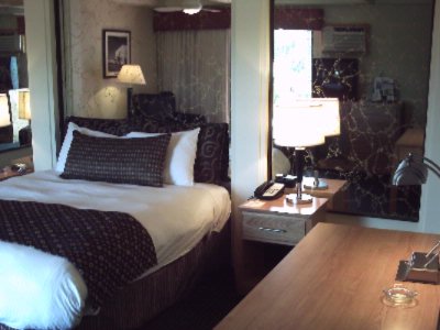 Best Western Pine Tree - 